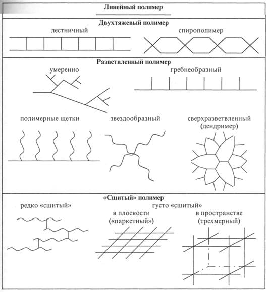 Принципы классификации полимеров - student2.ru