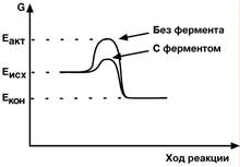 Принципы количественного определения активности ферментов - student2.ru