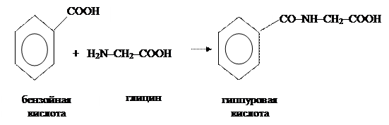 Процессы метаболического превращения ксенобиотиков - student2.ru