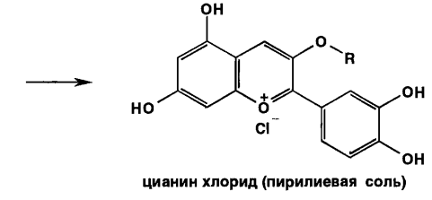 Производные фенилхромана (Витамины группы P) - student2.ru