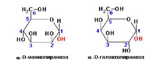 Производные моносахаридов. Аминосахара. Сахарные кислоты. - student2.ru