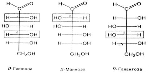 Производные моносахаридов. Аминосахара. Сахарные кислоты. - student2.ru