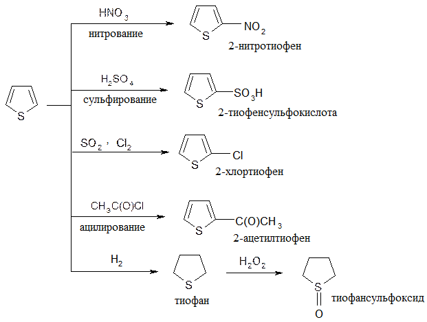 пятичленные гетероциклы с двумя гетероатомами - student2.ru