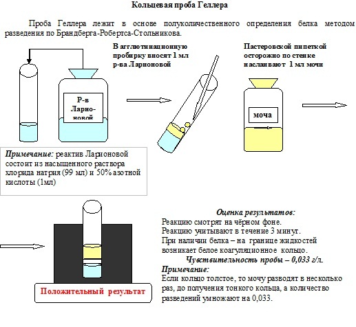 Работа 17. Изучение процесса денатурации белка - student2.ru