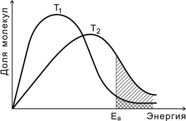 Распределение молекул по энергиям - student2.ru