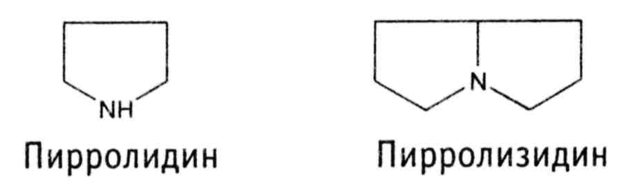 Распространение алкалоидов в растительном мире. Значение для жизни растений - student2.ru