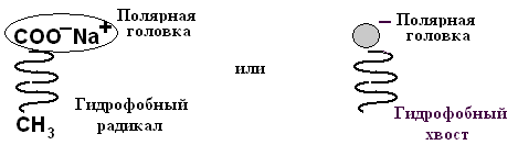 Особенности физико-химических свойств воды - student2.ru