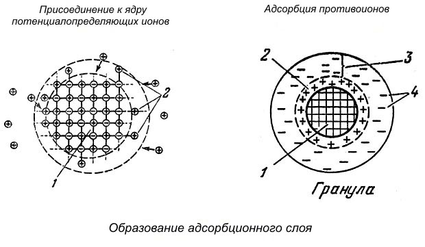 Молекулярные коллоиды (обратимые коллоиды) - student2.ru