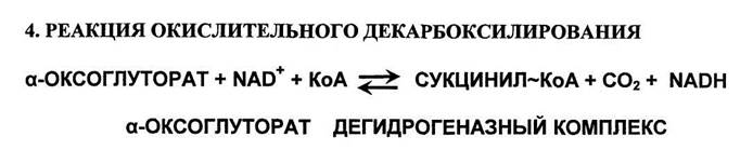 Реакции цикла трикарбоновых кислот - student2.ru
