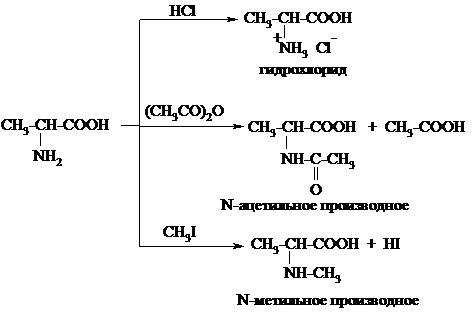 Реакции карбоновых кислот по радикалу - student2.ru