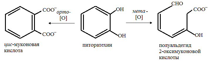 Реакции метаболического окисления органических ксенобиотиков, основные типы и ферменты. - student2.ru