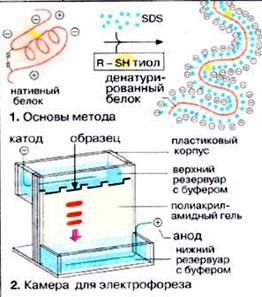 Реакція декарбоксилування - student2.ru