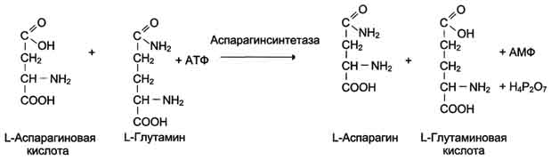 Регуляция каталитической активности ферментов частичным (ограниченным) протеолизом - student2.ru