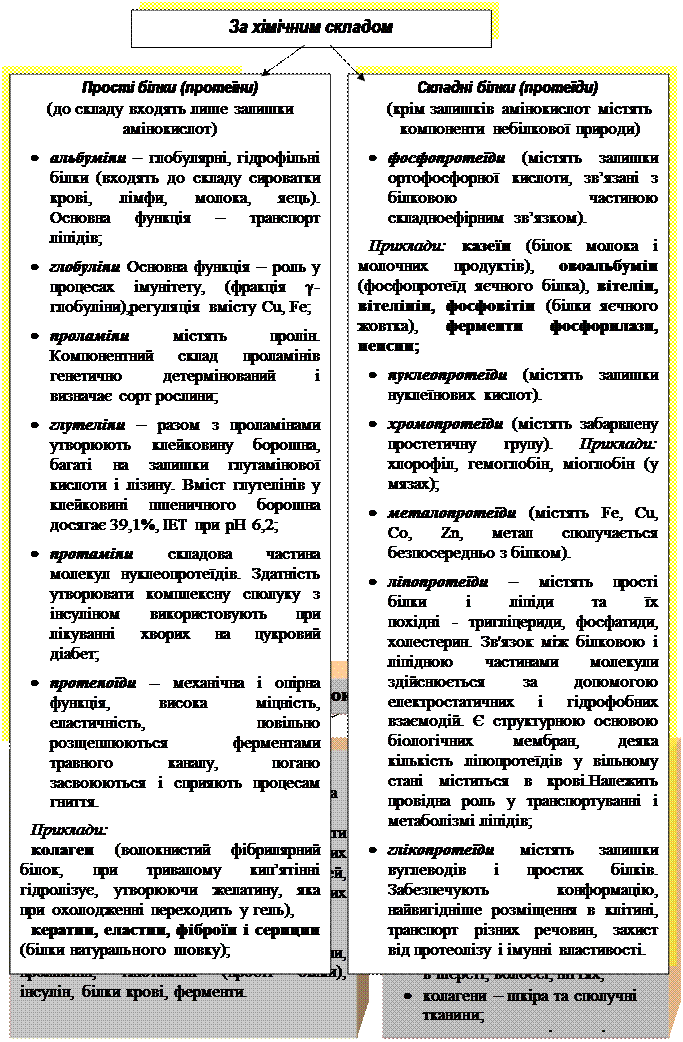 Рівні структурної організації білкової молекули - student2.ru