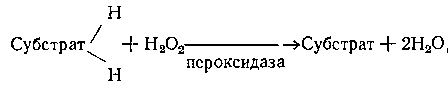 Роль кислорода и углекислого газа при замачивании ячменя - student2.ru