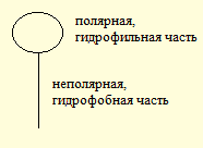 С увеличением температуры физическая адсорбция уменьшается. С увеличением давления увеличивается адсорбция газообразных веществ. - student2.ru