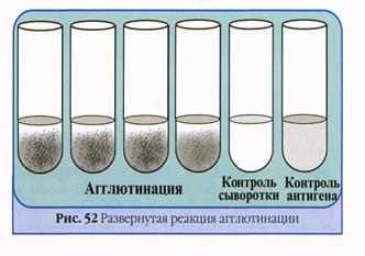 Серологические реакции в лабораторной диагностике инфекционных заболеваний - student2.ru