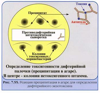 Серологические реакции в лабораторной диагностике инфекционных заболеваний - student2.ru