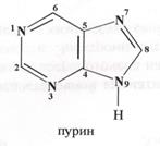 Шестичленные гетероциклы с 2-мя атомами азота - student2.ru