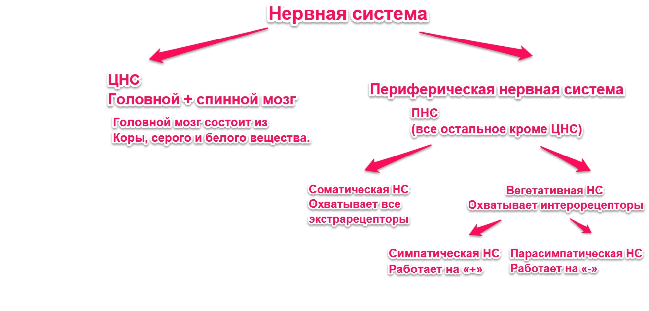 Системы восприятия человеком состояние среды обитания - student2.ru