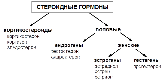 Схема 11. Фрагмент первичной структуры РНК - student2.ru