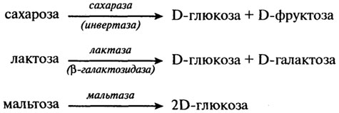 Схемы процессов переваривания макронутриентов - student2.ru