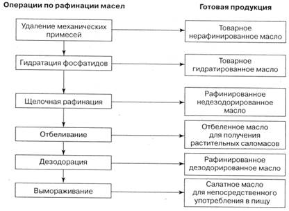 Собственно извлечение масла - student2.ru