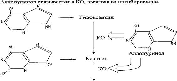 Соединительная ткани. Биохимия крови - student2.ru