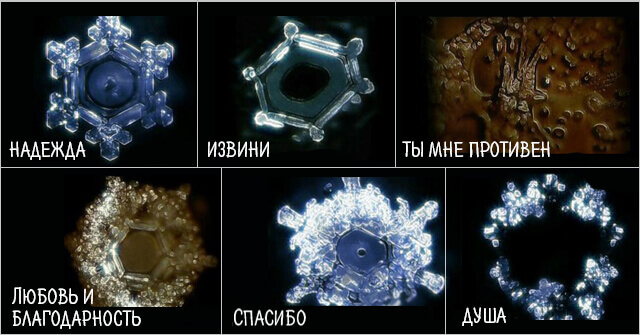 Современные исследования свойств воды - student2.ru