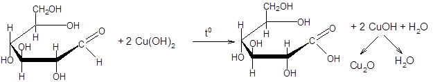 Специфичность действия ферментов - student2.ru