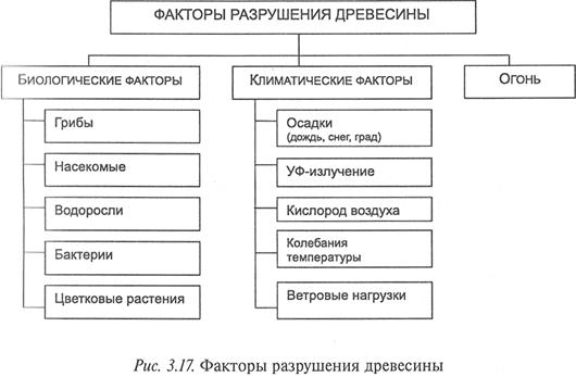 Способы повышения качественных характеристик древесины - student2.ru
