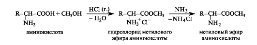 Стереоизомерия a-аминокислот. - student2.ru