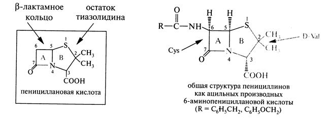 Гетроциклы с одним атомом азота. - student2.ru