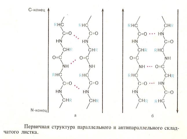 Гетроциклы с одним атомом азота. - student2.ru