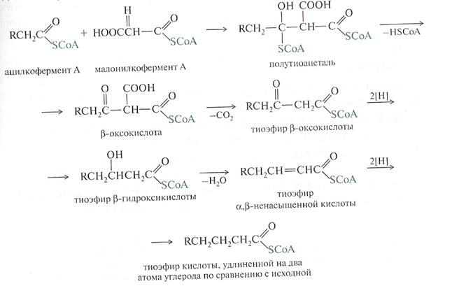 Стереоизомерия органических соединений. Реакции нуклеофильного замещения у Sp3 гибридизированного атома углерода. Реакции элиминирования - student2.ru