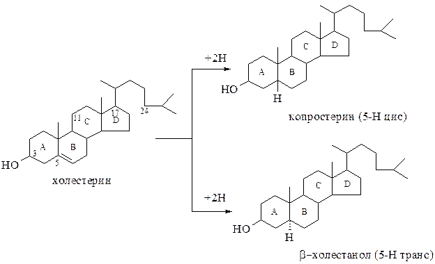 Стереоизомерия стероидов. Структурные особенности - student2.ru