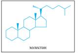 Стероиды: производные холестана (стерины) – холестерин, эргостерин, витамин D2: номенклатура, строение, характеристика реакционной способности - student2.ru