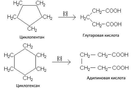 Строение циклоалканов. Номенклатура - student2.ru