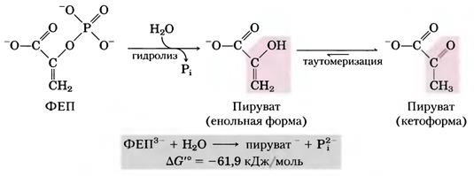 Строение и механизм функционирования цитохром С оксидазного комплекса. - student2.ru