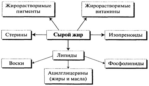 строение и состав липидов. жирнокислотный состав масел и жиров - student2.ru