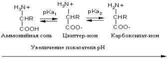 Строение и свойства аминокислот. - student2.ru