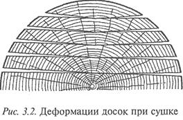 Строение и свойства древесины - student2.ru