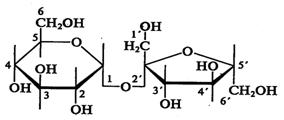 Строение и свойства углеводов. - student2.ru