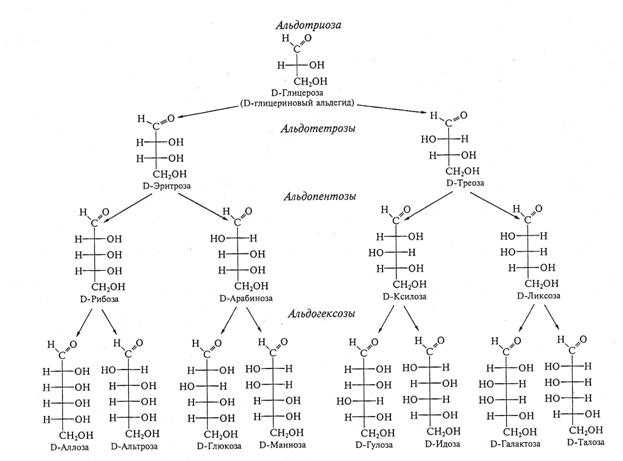 Строение и свойства углеводов. - student2.ru