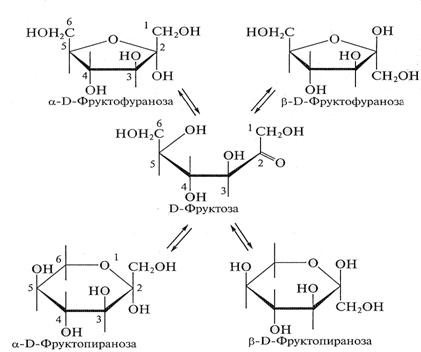 Строение и свойства углеводов. - student2.ru