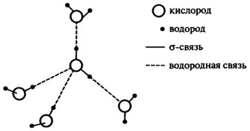 Строение молекулы и свойства воды - student2.ru