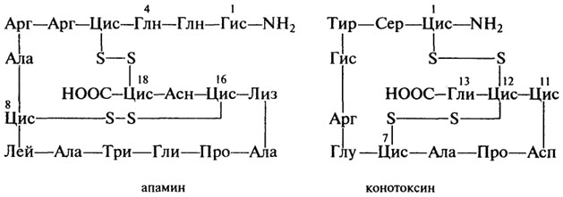 строение пептидов и белков. физиологическая роль пептидов - student2.ru