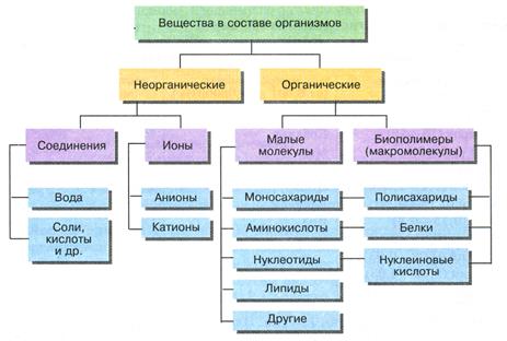 Структура белковой молекулы. - student2.ru