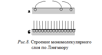 Структура биологических мембран - student2.ru