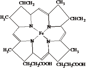 Структура молекулы гемоглобина - student2.ru
